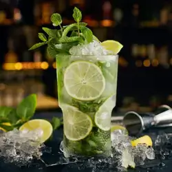 Lemon & Mint Mojito