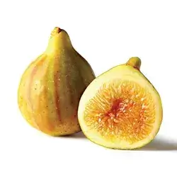 Yellow Fig