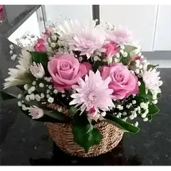 Basket Flower