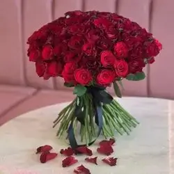 Red Rose