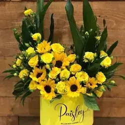Box Flower