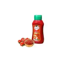 Delveseh Plain Ketchup 450g