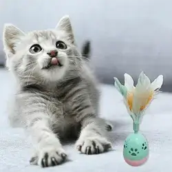 Cat Toy