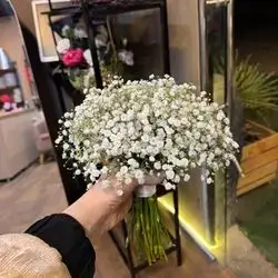 Frmisk Flower