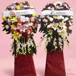 Stand Flowers-Colors