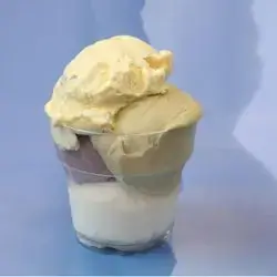 Medium Italian Ice Cream