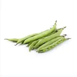 Broad Beans