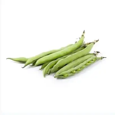 Broad Beans