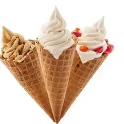 Waffle Cone - 2 Flavor Toppings