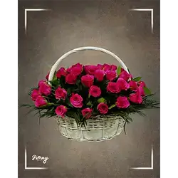 50 Roses