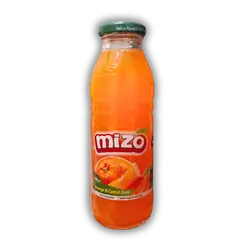 Mizo Orange Carrot Juice Glass 296ml