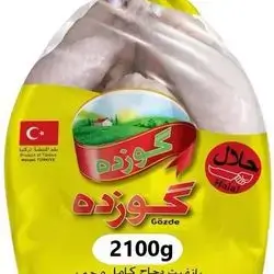 gozde 2100