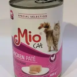 Milo Cat