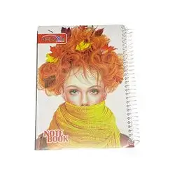 Notebook 4 Sections