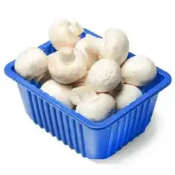 mushroom