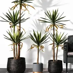 Artificial yucca plant