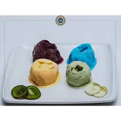 Mixed Ice Cream Plate