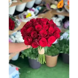 20 Rose