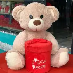 Teddy Bear 40cm