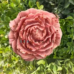 Large Flower Candle I