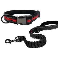 Leash & Collar