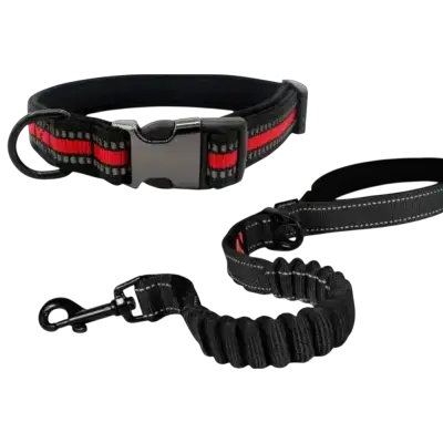 Leash & Collar