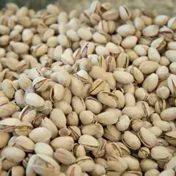 Pistachio Ahmedi
