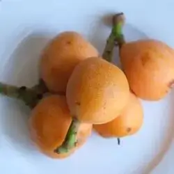 Akidnia