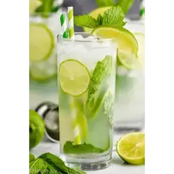 Mint Mojito