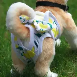 Dog Diaper M