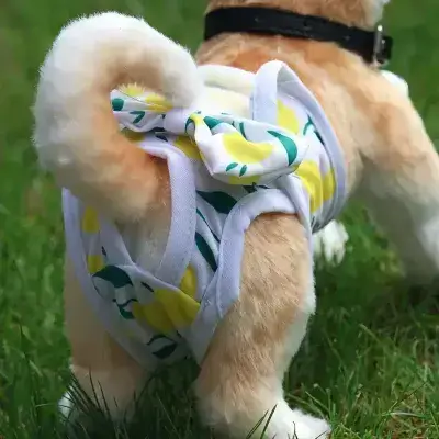 Dog Diaper M