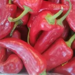 Red Pepper