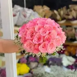 Pink Rose
