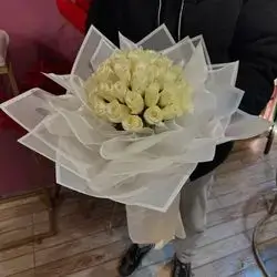 Rose White