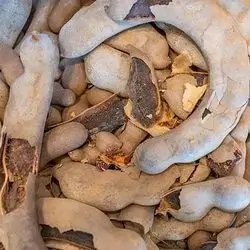Natural Tamarind