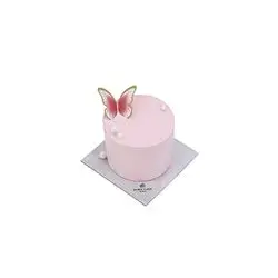 Pink Circular Cake Piece