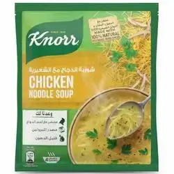 Knorr Chicken Noodle Soup – 60g