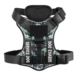 Harness