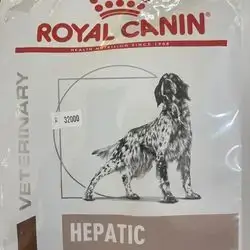 Hepatic