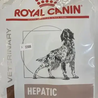 Hepatic