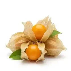 Gold Berry