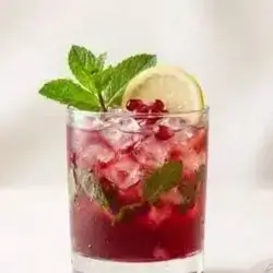 Pomegranate Lemon Mint Mojito