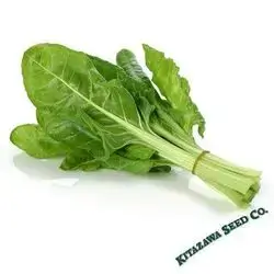 chard
