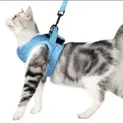 Soft Leash & Harness M
