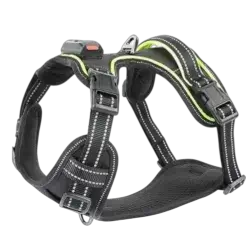 Harness LED L
