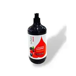 Schon Shampoo Healthy Hair 1l