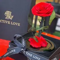 Forever Rose