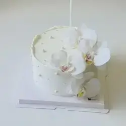 Special Cake - 6 Persons