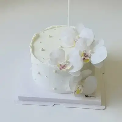 Special Cake - 6 Persons