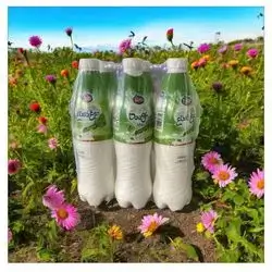 Doogh Mihan mint Fresh & Natural 6pcs 1500mll